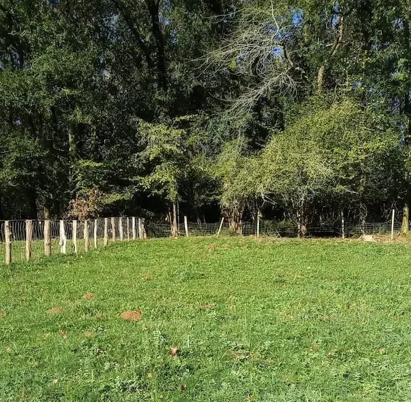 alternative feng shui building lot house sare basque country - 1