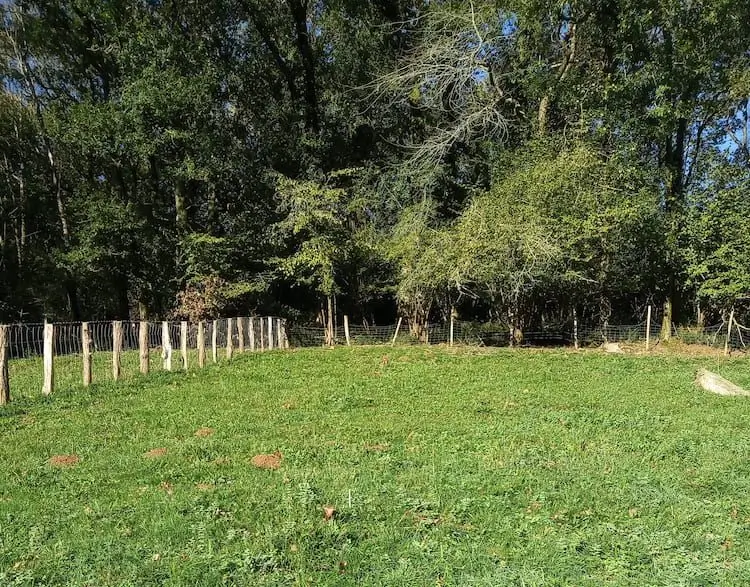 alternative feng shui building lot house sare basque country - 1