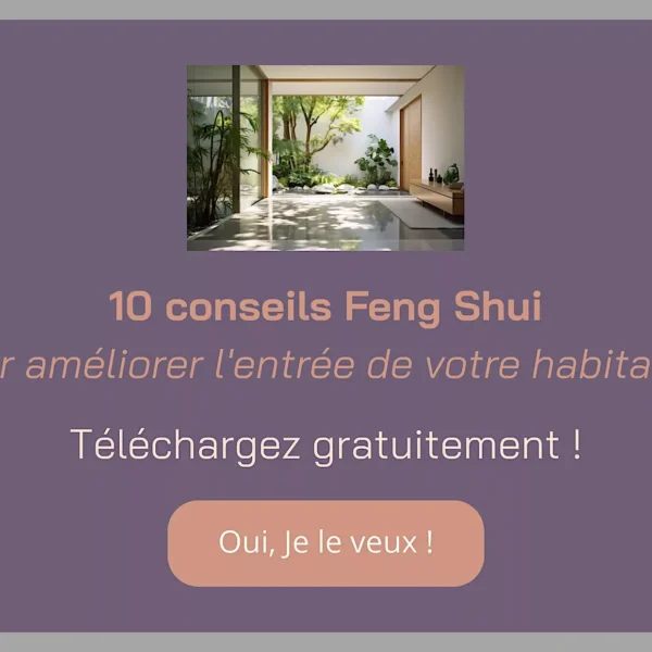 alternative feng shui home improvement biophilia geobiology tarnos landes - 1