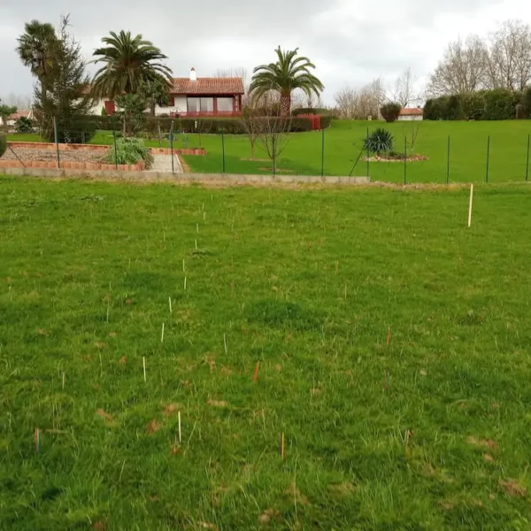 alternative feng shui amenagement terrain construction sare pays basque geobiologie - 1